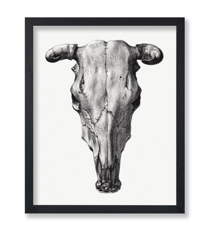 Cow Skull Portrait
