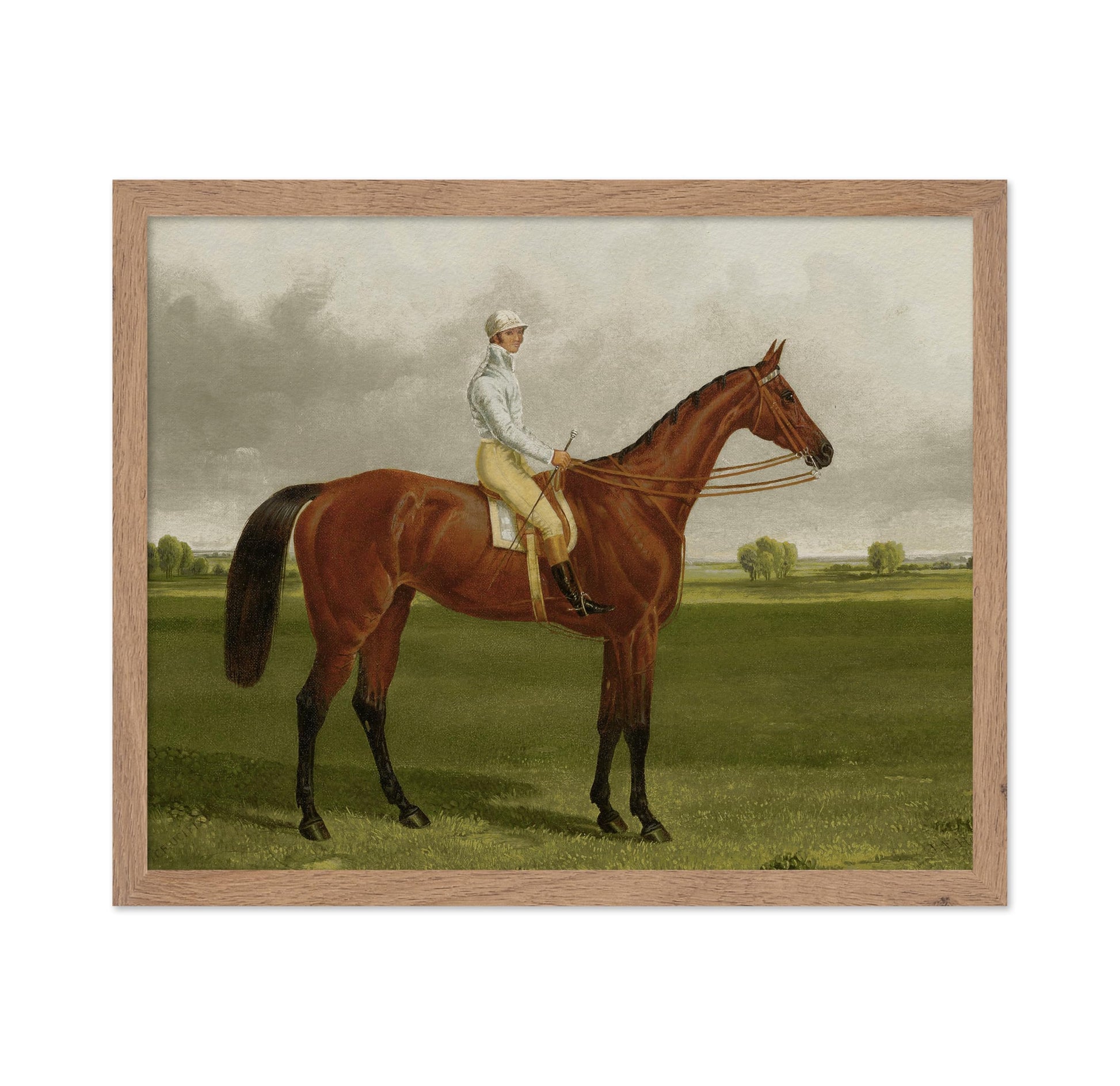 Racehorse with Jockey No3