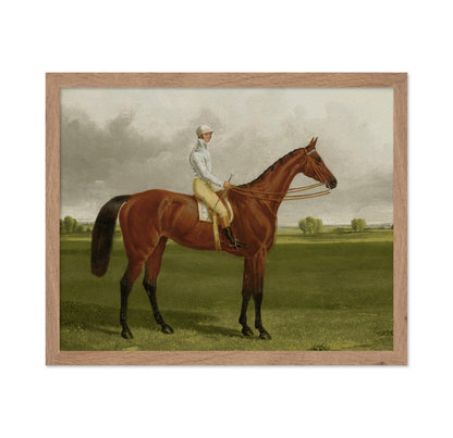 Racehorse with Jockey No3