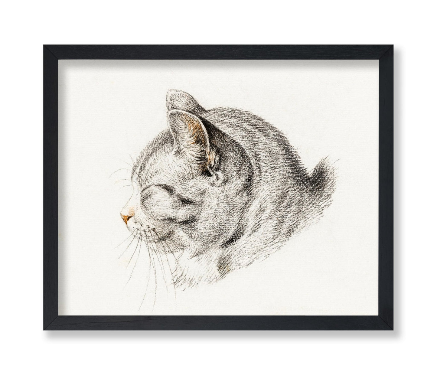 Sketch of A Cat