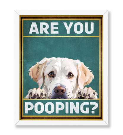 Are You Pooping No6