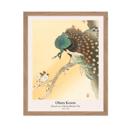 Ohara Koson - Peacock No3