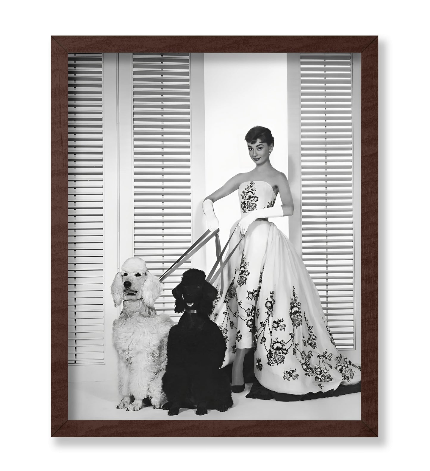 Audrey With Poodles