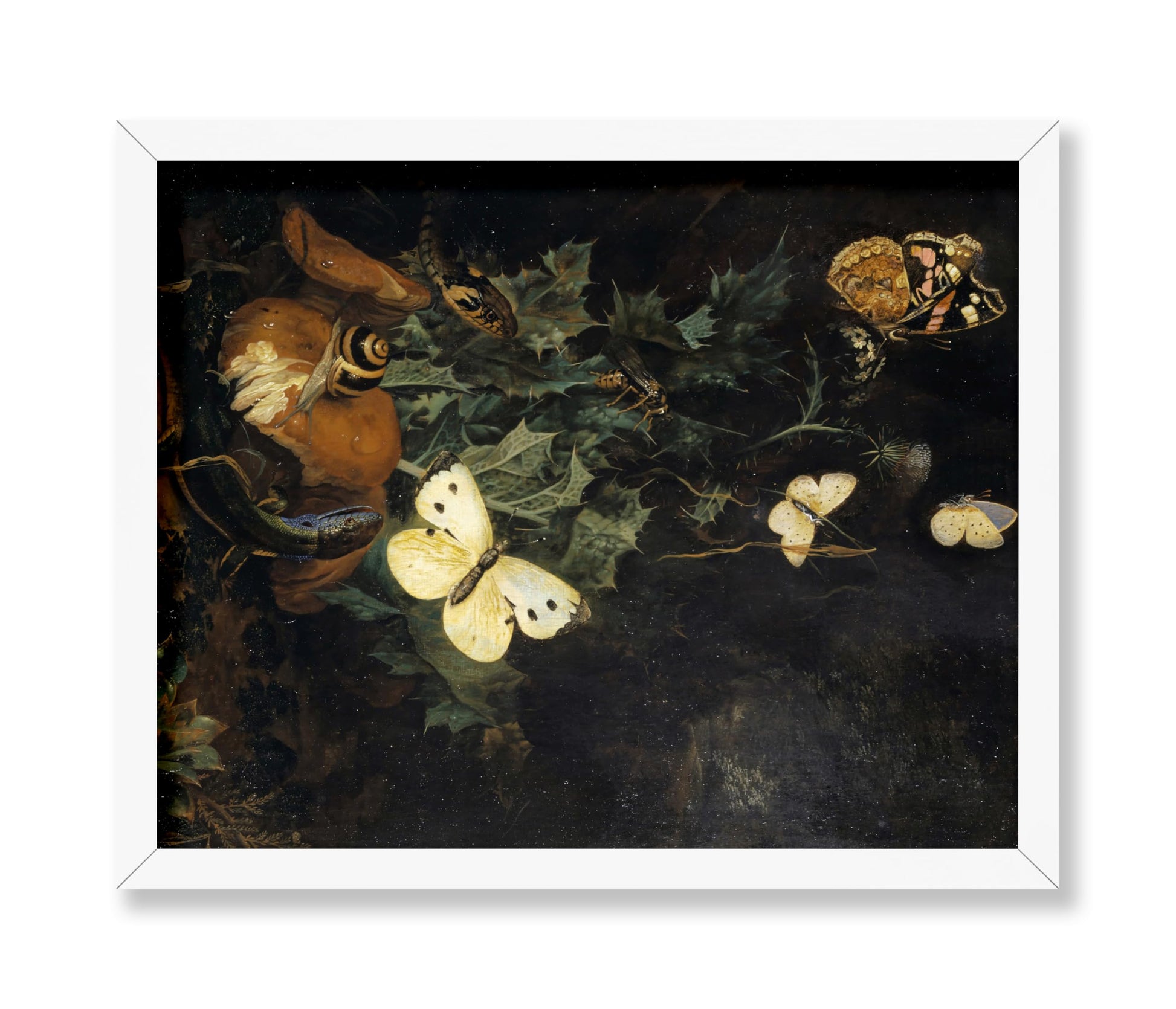 Still Life with Butterflies, Lizard and Snake