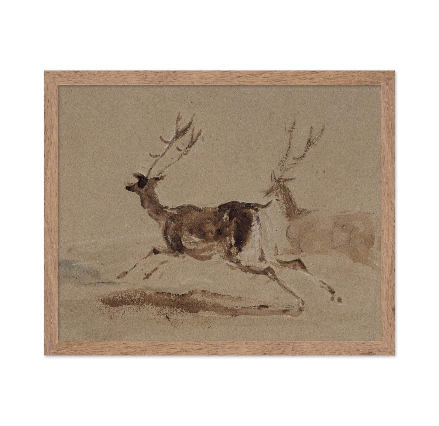 Two Stags Running