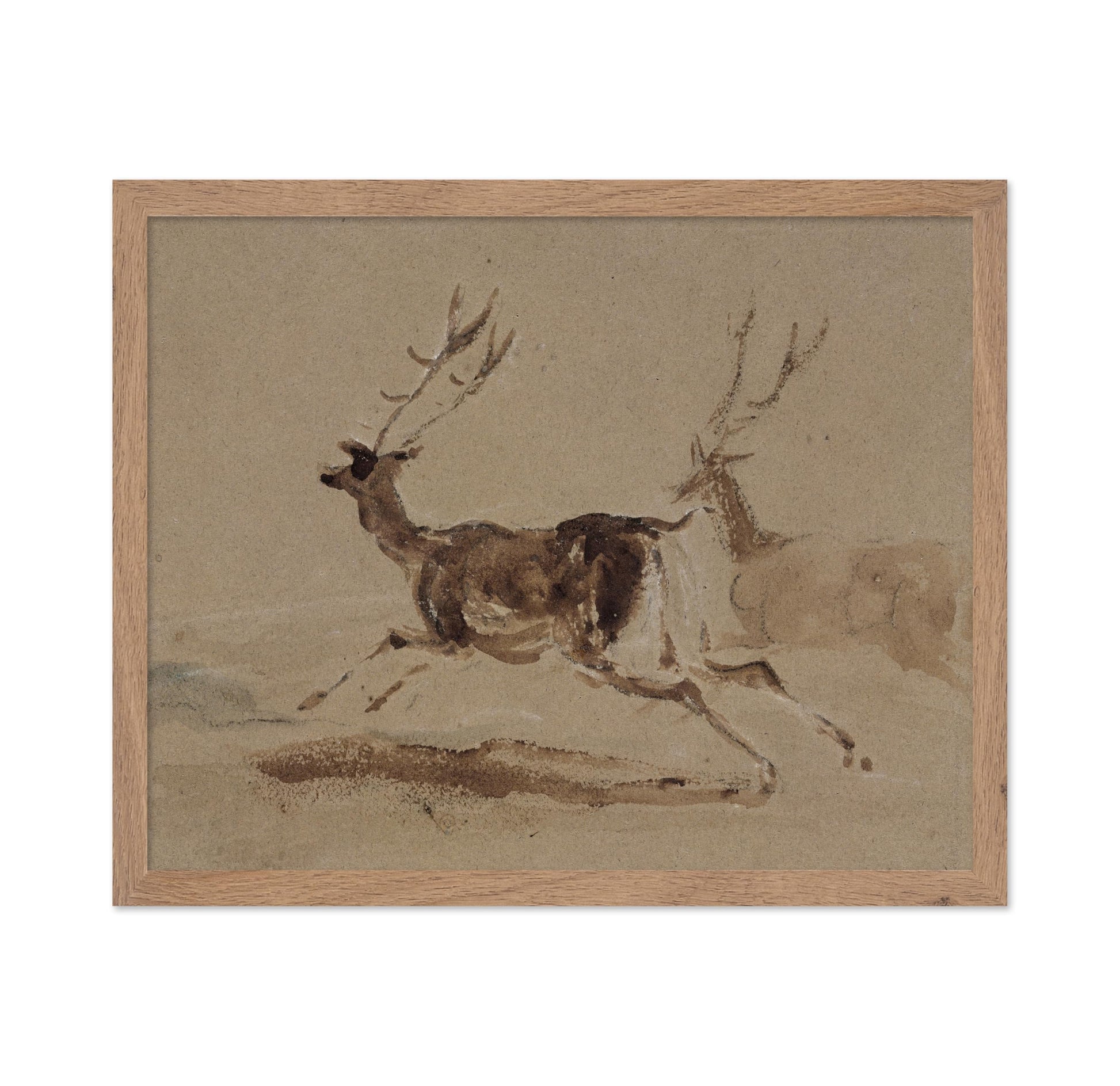 Two Stags Running