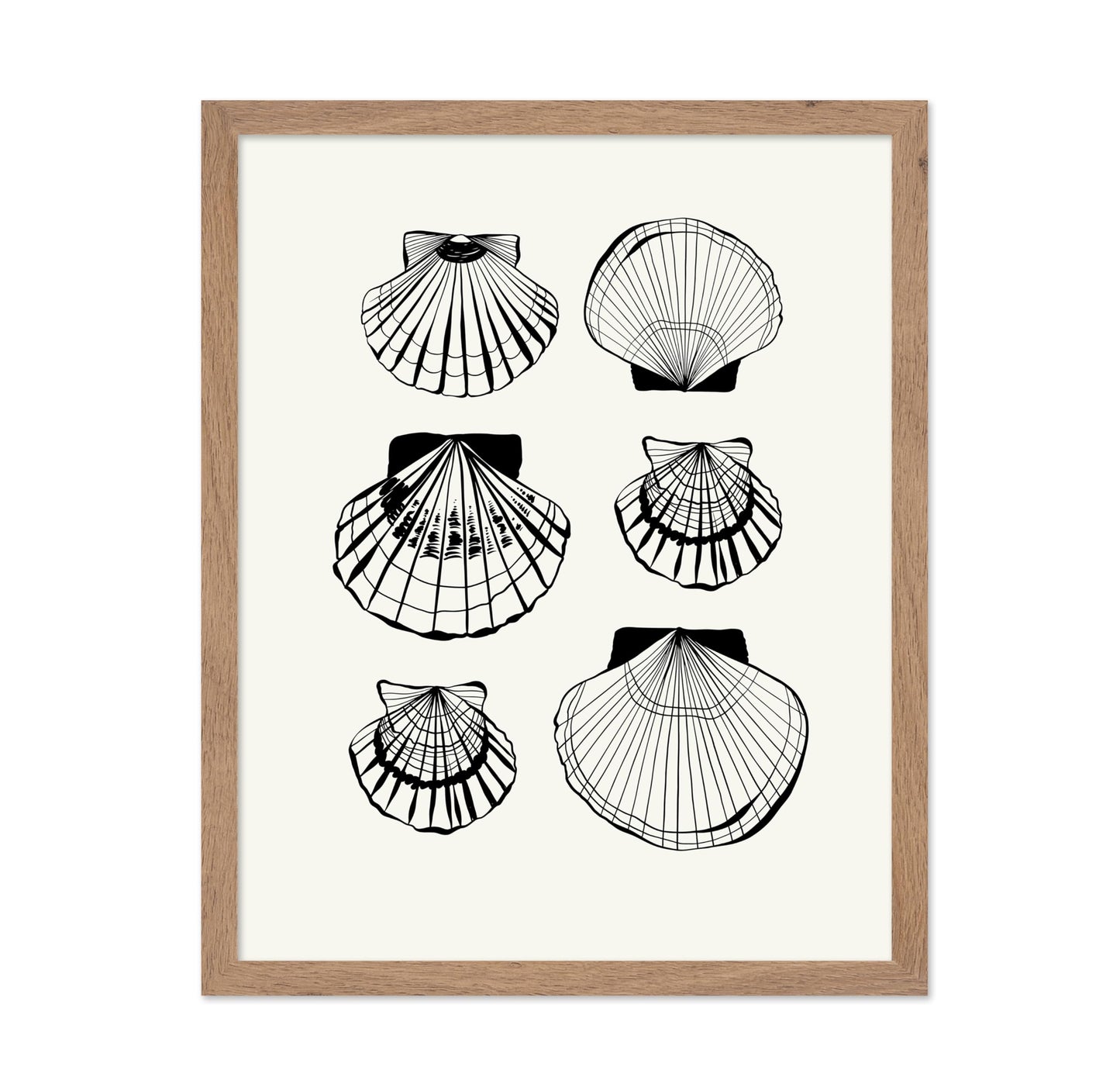 Abstract Clam Shells