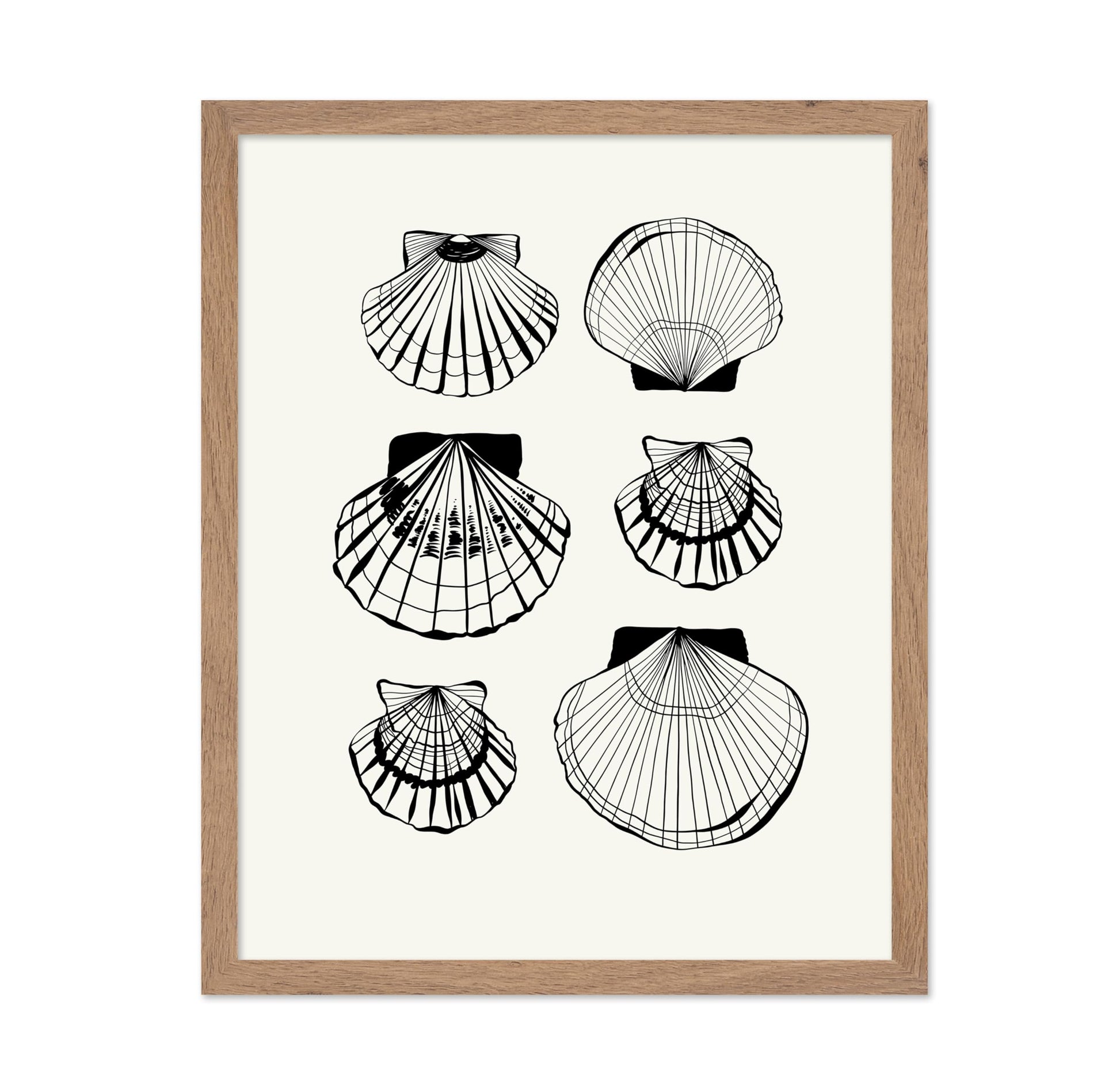 Abstract Clam Shells