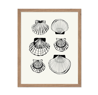 Abstract Clam Shells