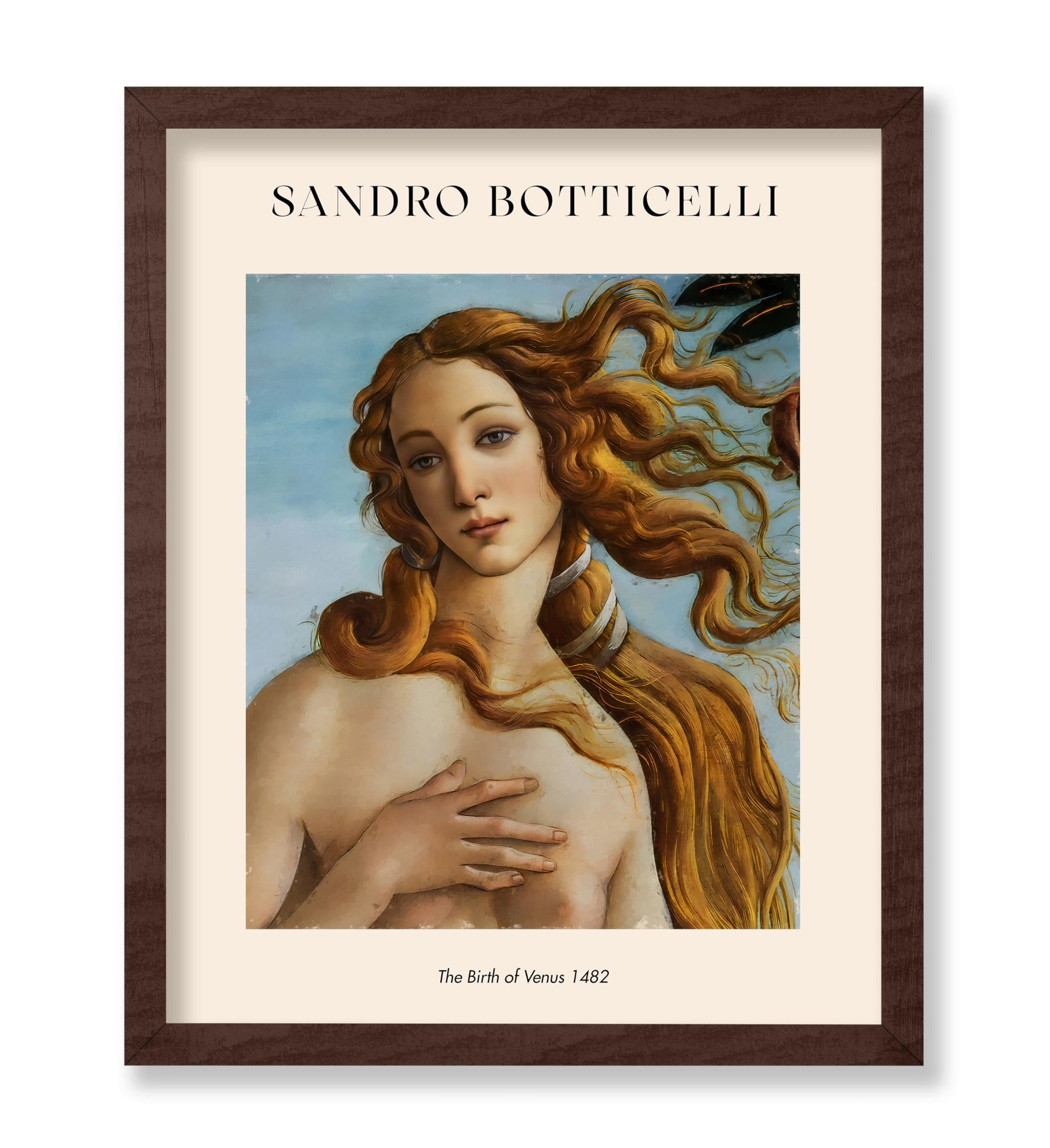 Sandro Botticelli - The Birth of Venus No3