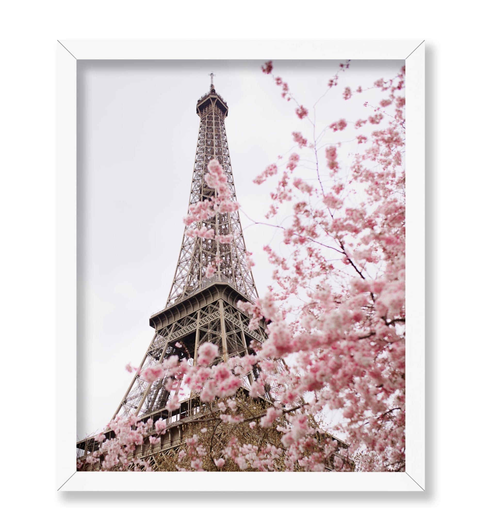 Blooming Paris