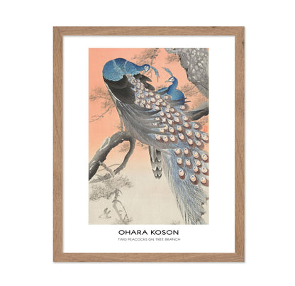 Ohara Koson - Two Peacocks on Tree Branch