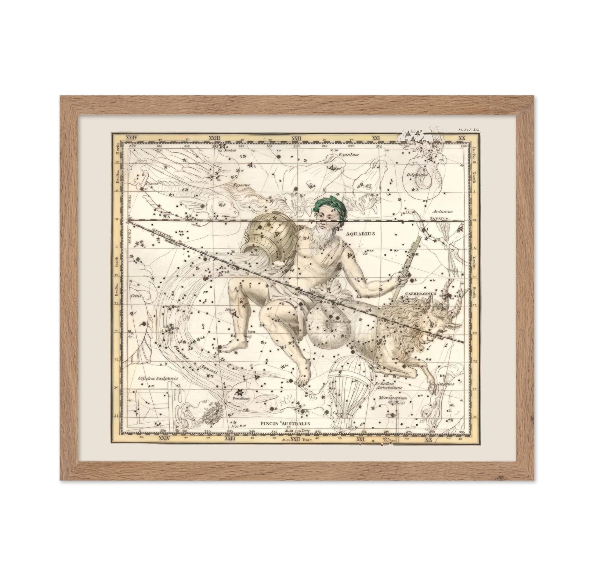 Capricorn & Aquarius Zodiac