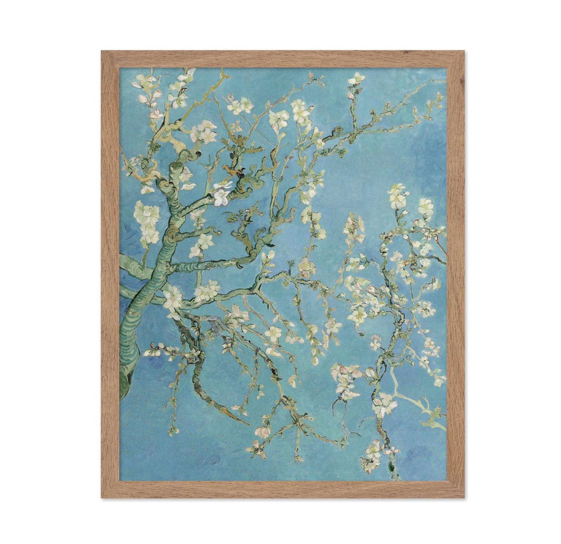 Van Gogh - Almond Blossoms Poster