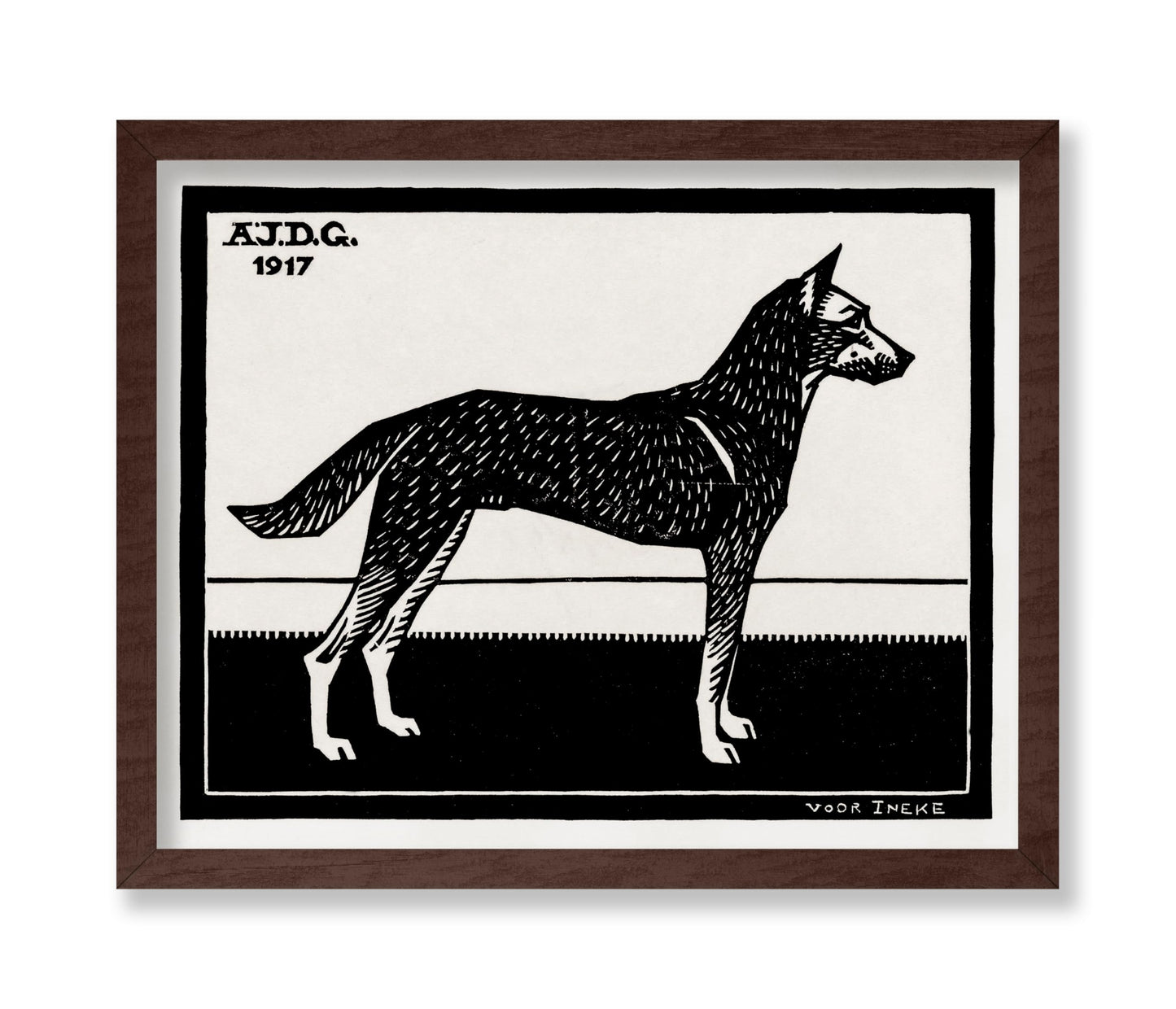 Black & White Dog
