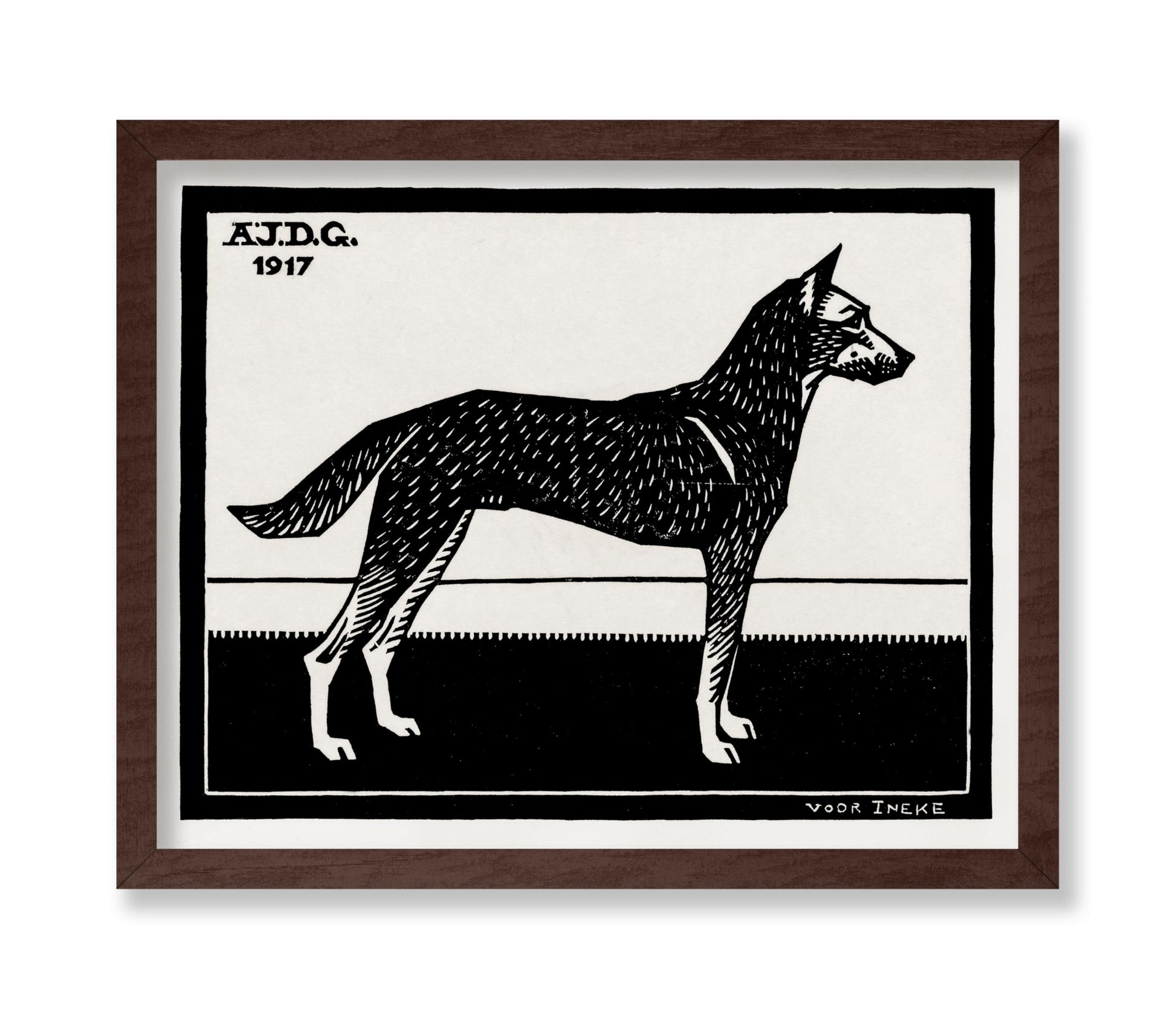Black & White Dog