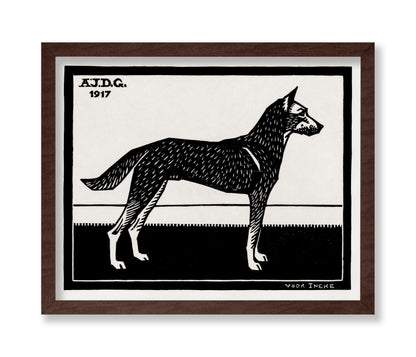 Black & White Dog