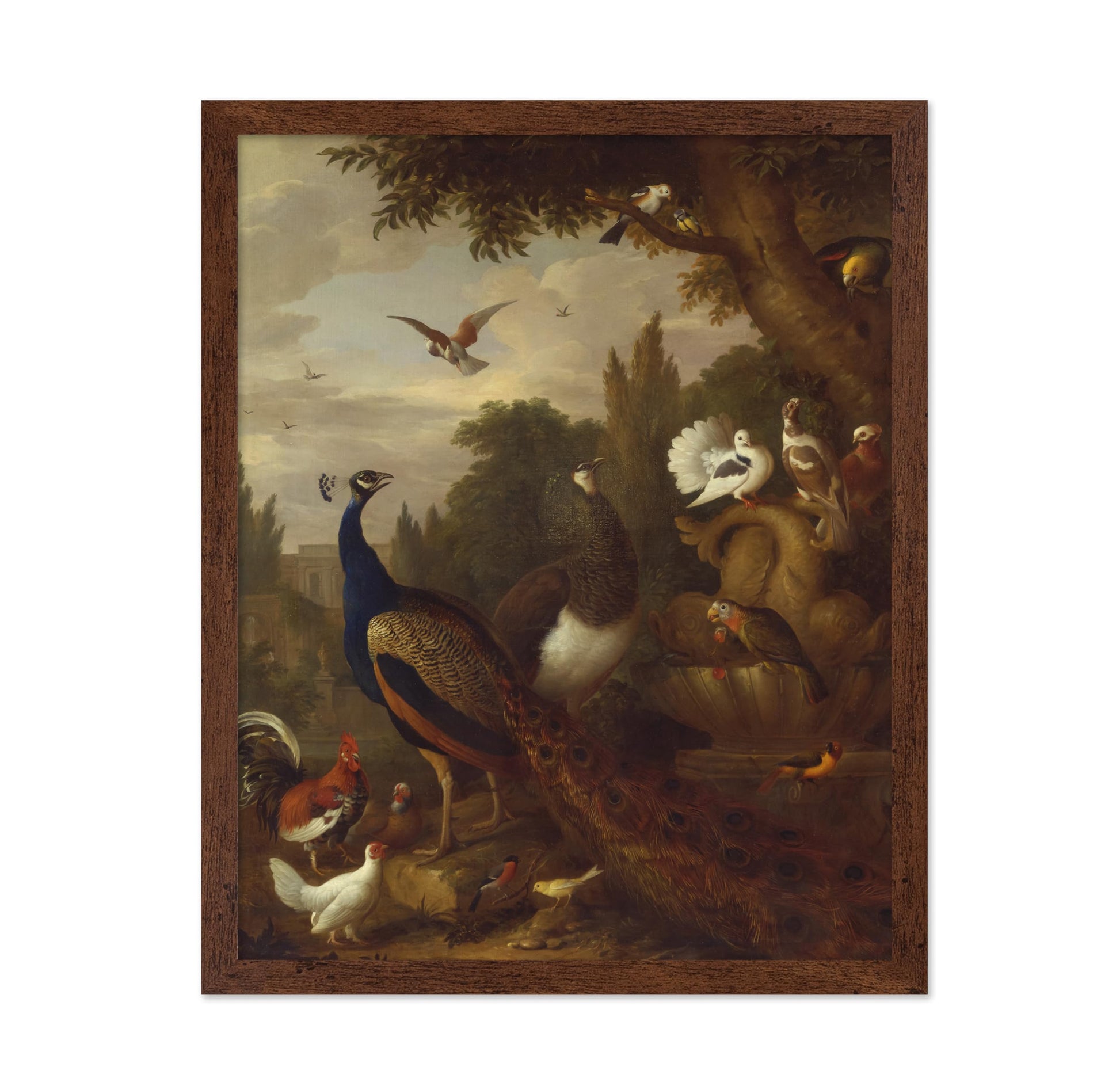 Birds in a Park