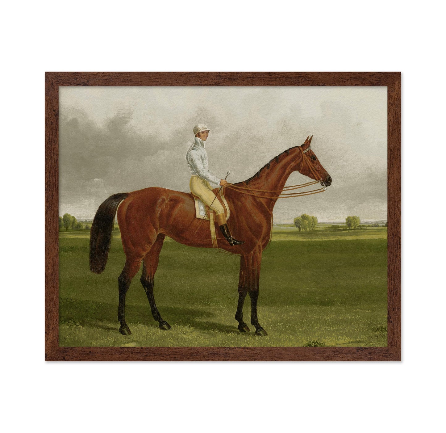 Racehorse with Jockey No3