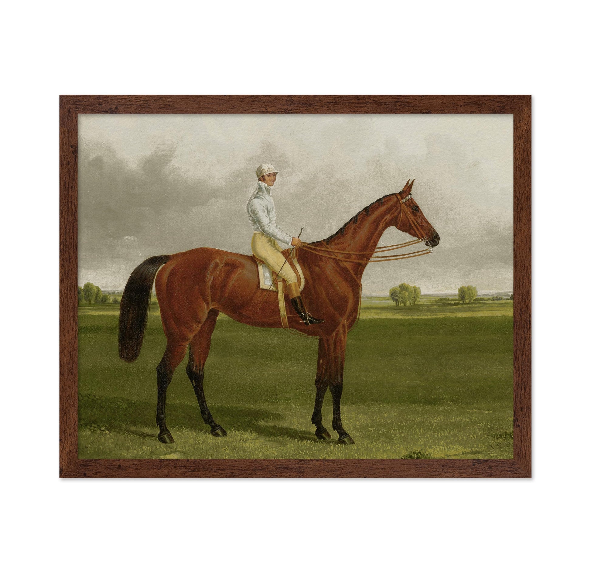 Racehorse with Jockey No3