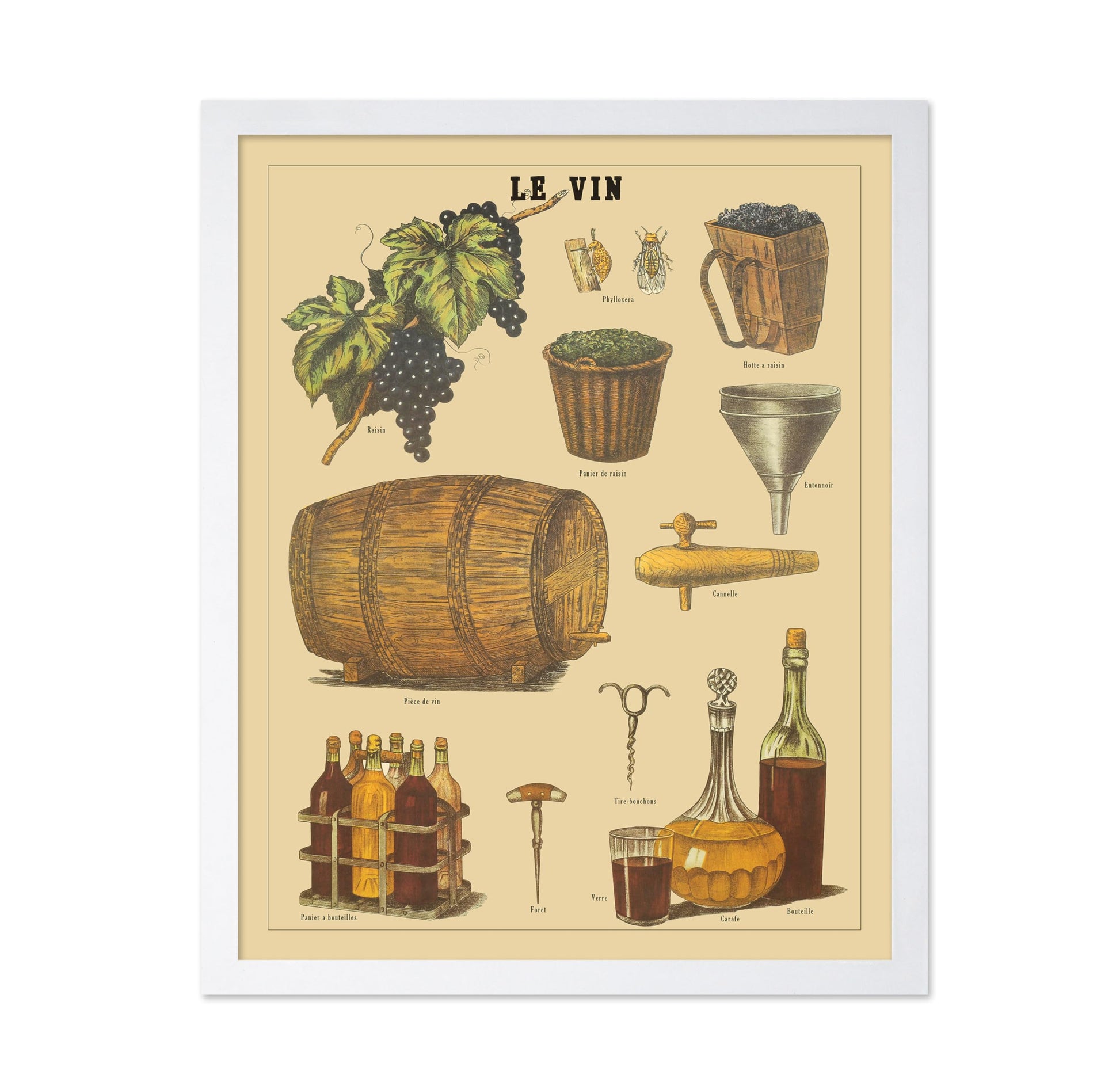 Le Vin - French Wine