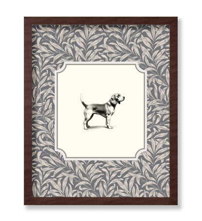 Beagle Dog