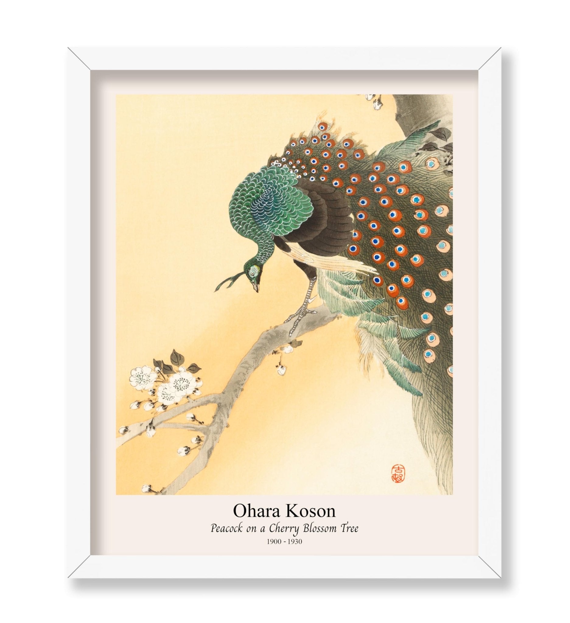 Ohara Koson - Peacock No3