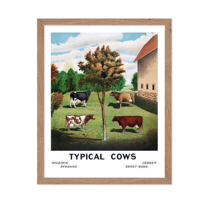 Typical Cows
