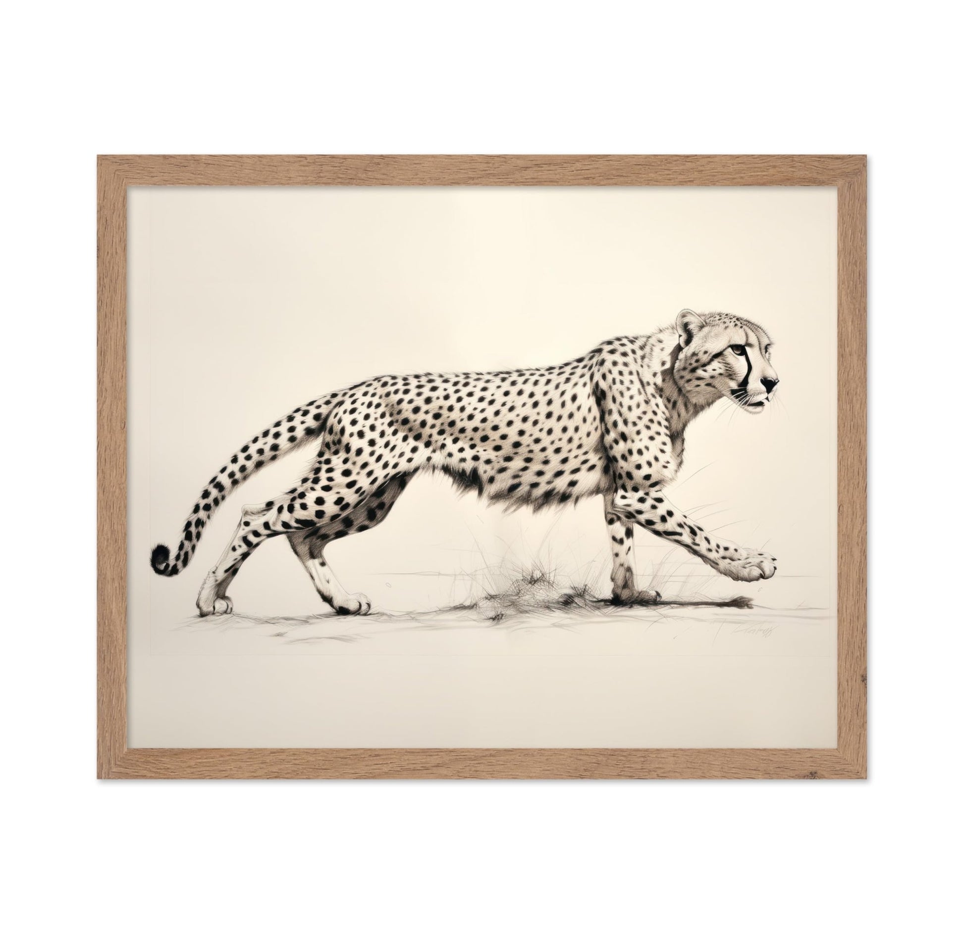 Striding Cheetah