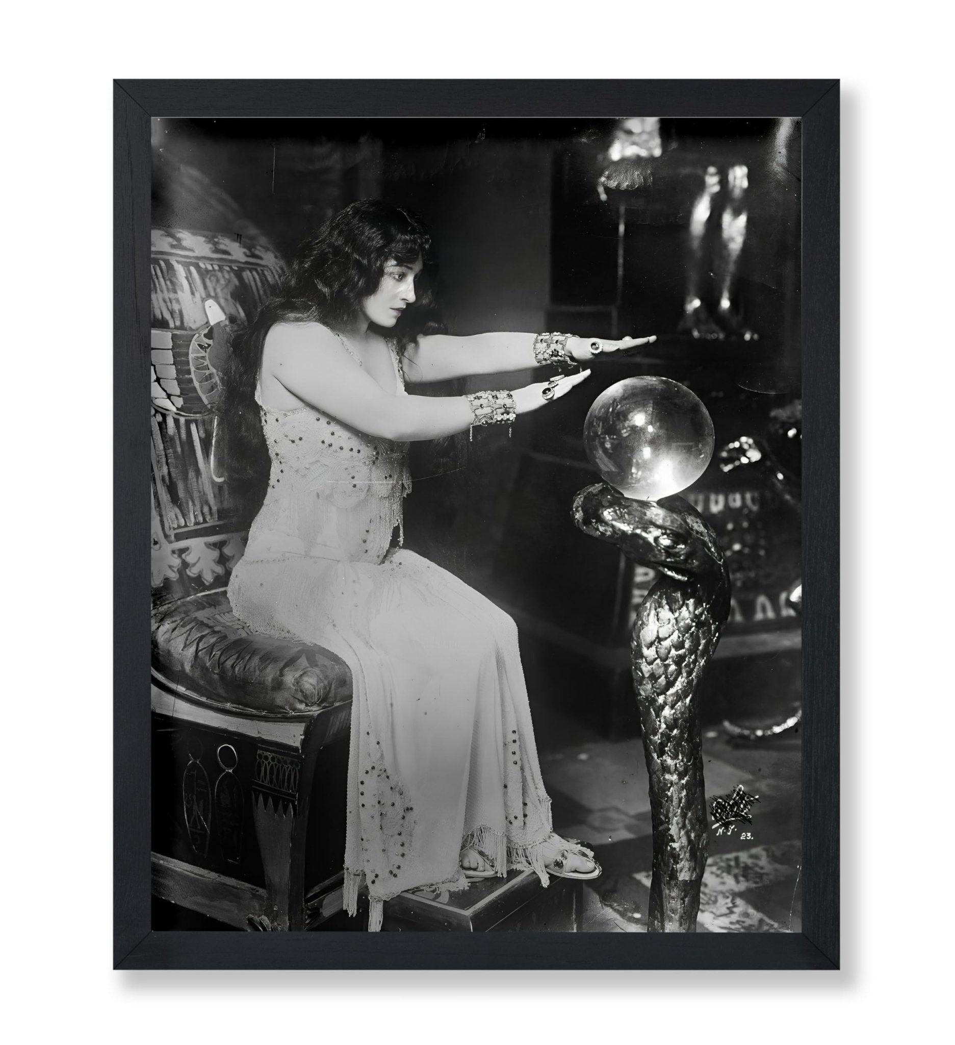 Fortune Teller No3