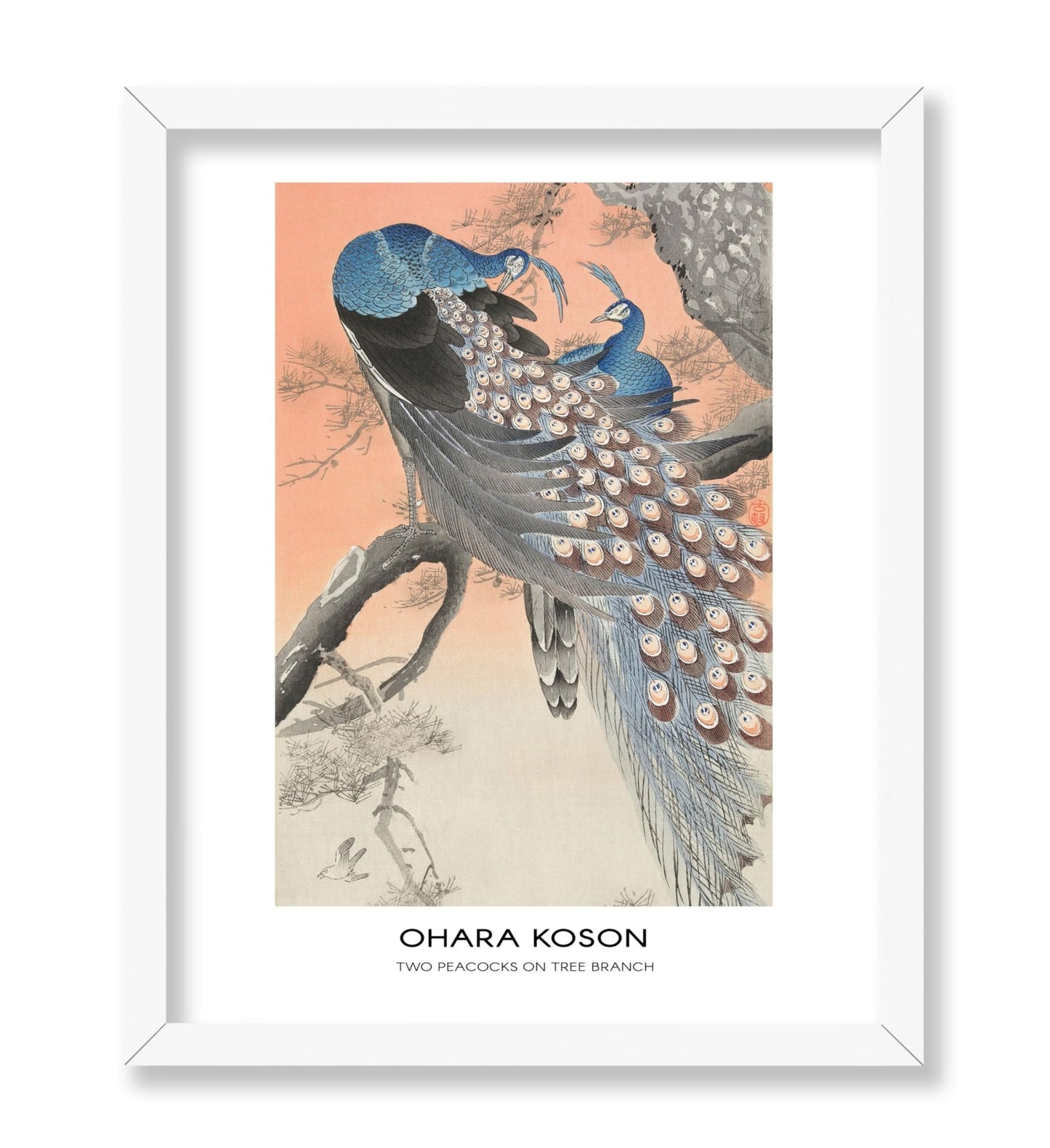 Ohara Koson - Two Peacocks on Tree Branch