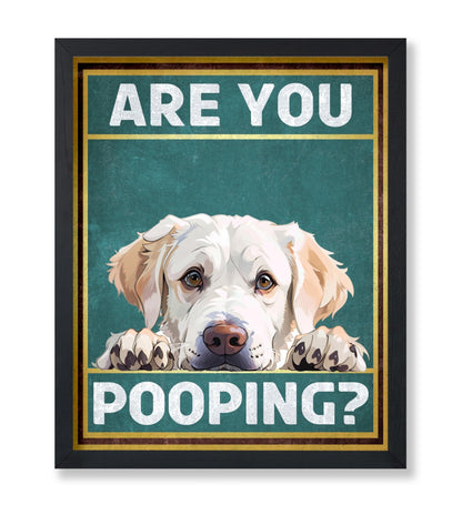Are You Pooping No6