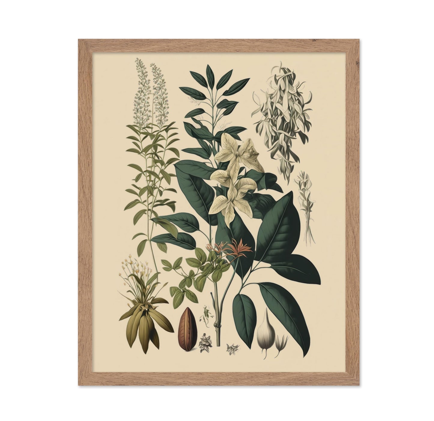 Wild Flower No1
