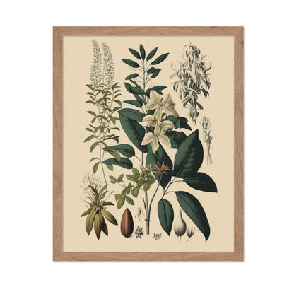 Wild Flower No1