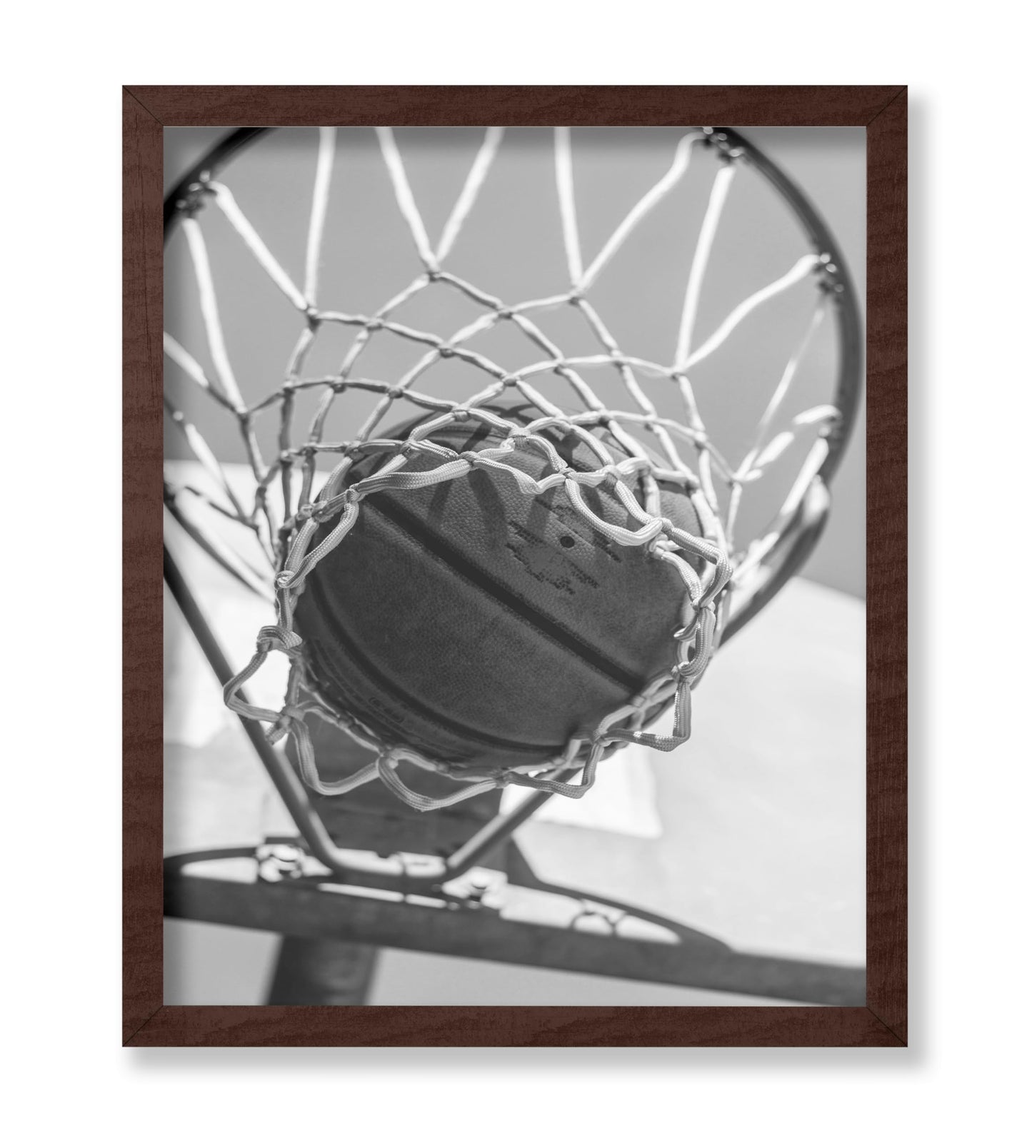 Ball in the Hoop