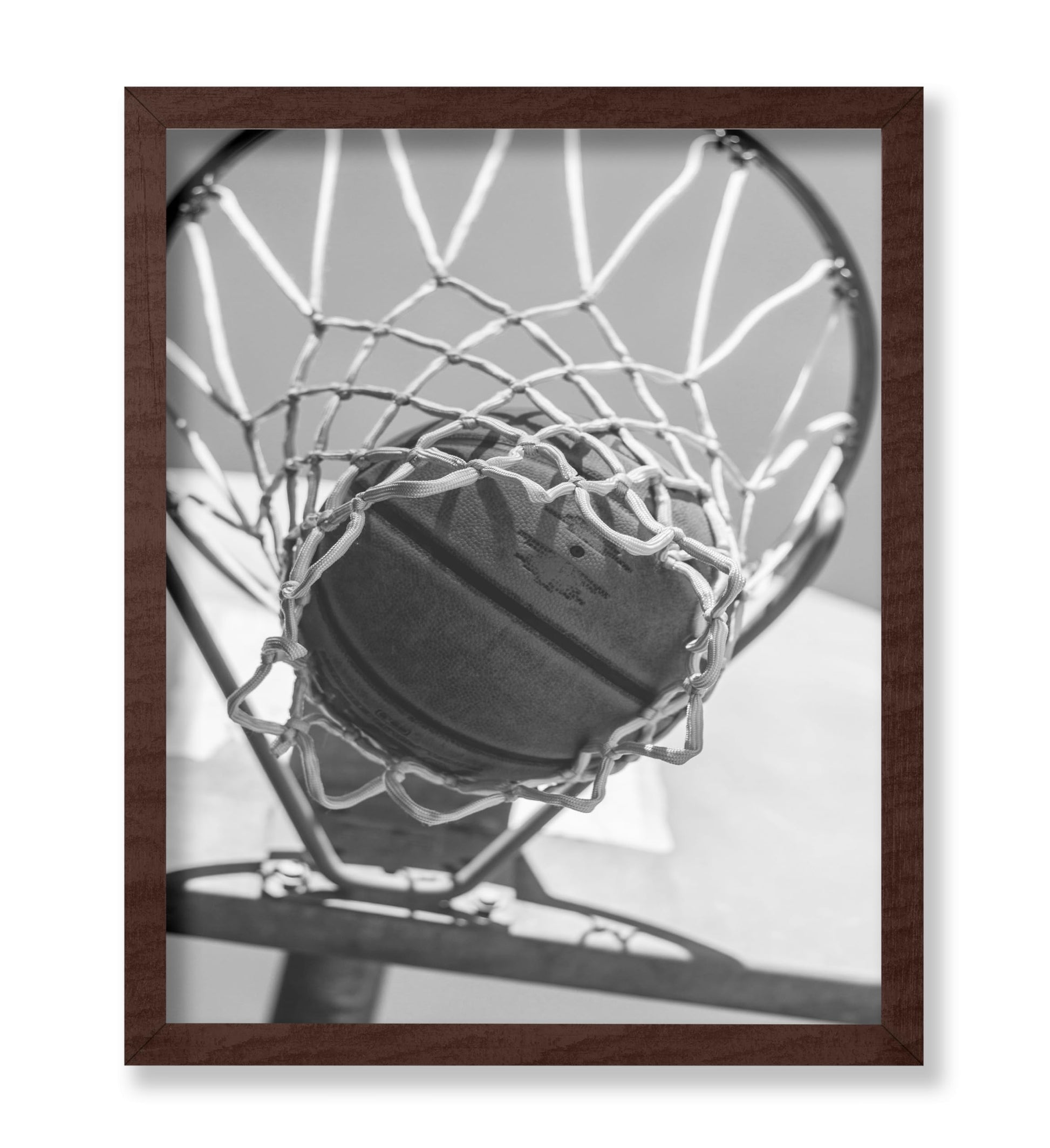 Ball in the Hoop
