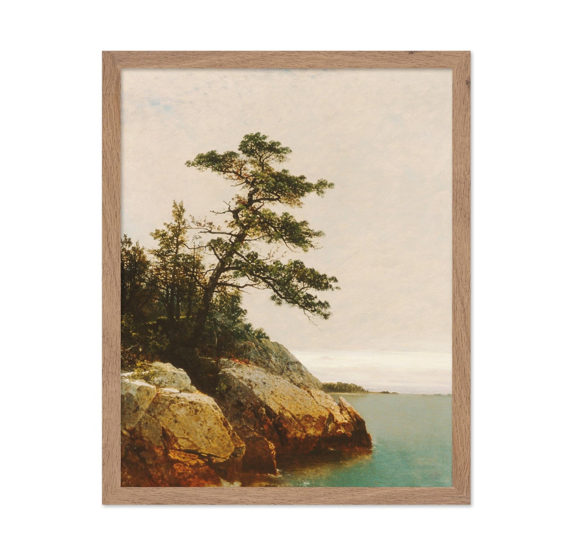 The Old Pine