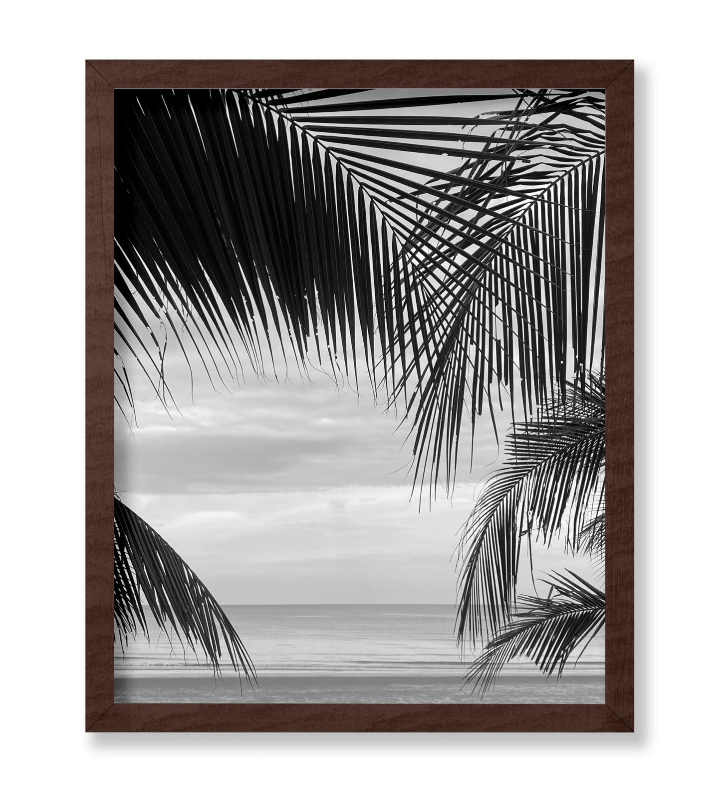 View Between Palm Leaves