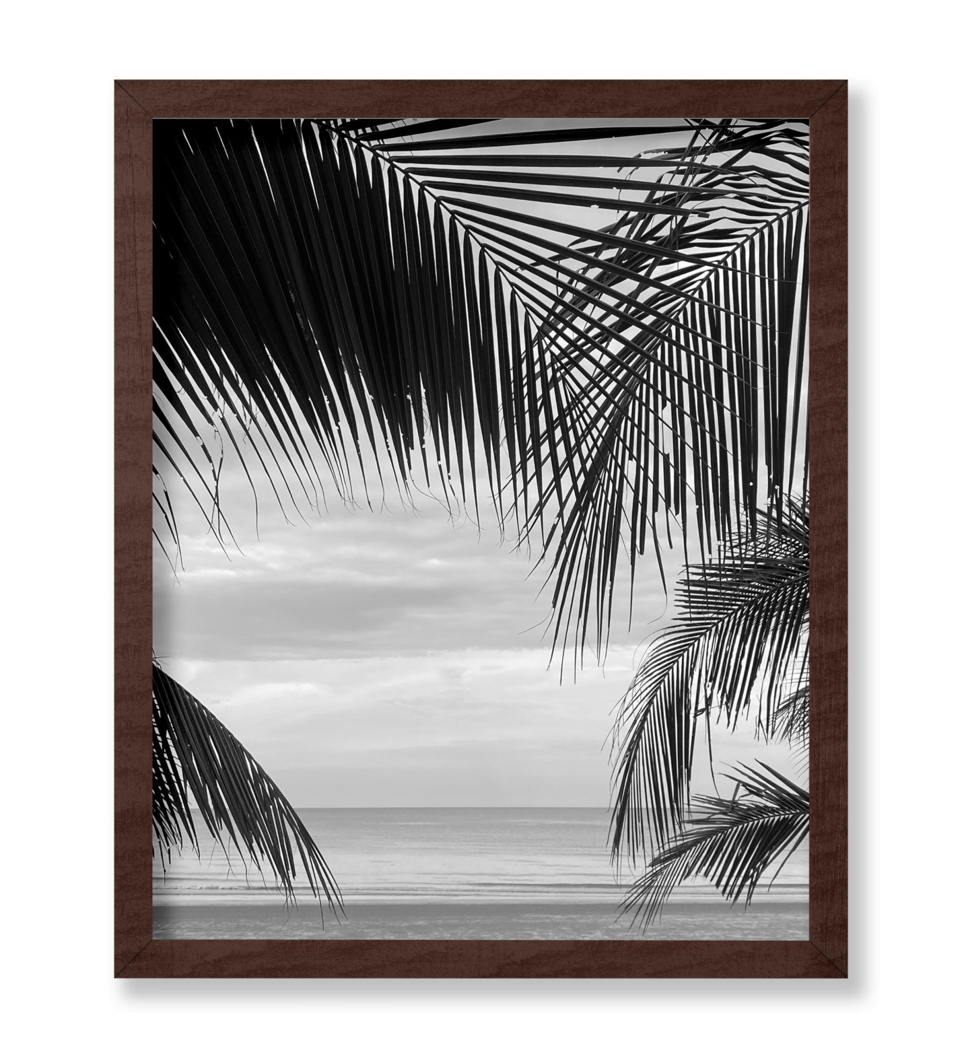 View Between Palm Leaves