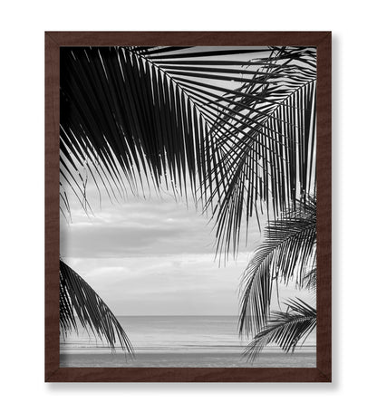 View Between Palm Leaves