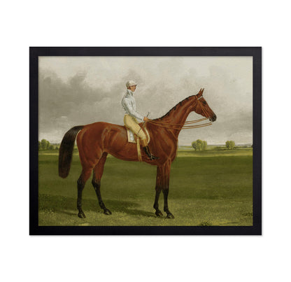 Racehorse with Jockey No3