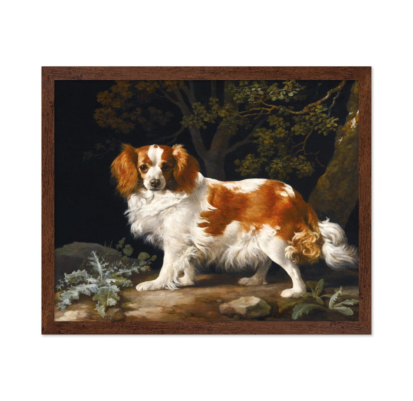 King Charles Spaniel in a Wooded Landscape