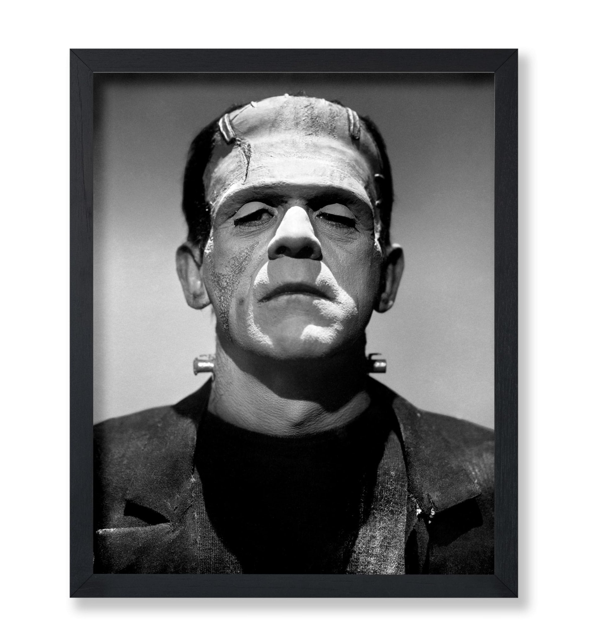 Frankenstein's Monster No1