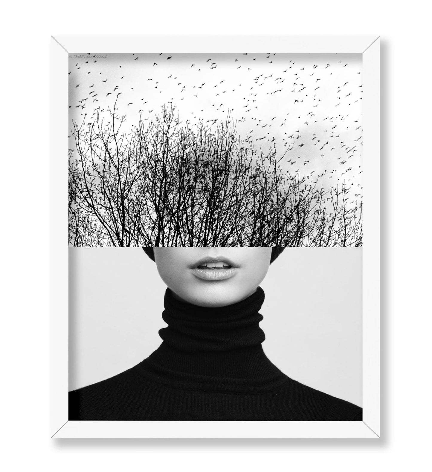 Woman & Trees Collage