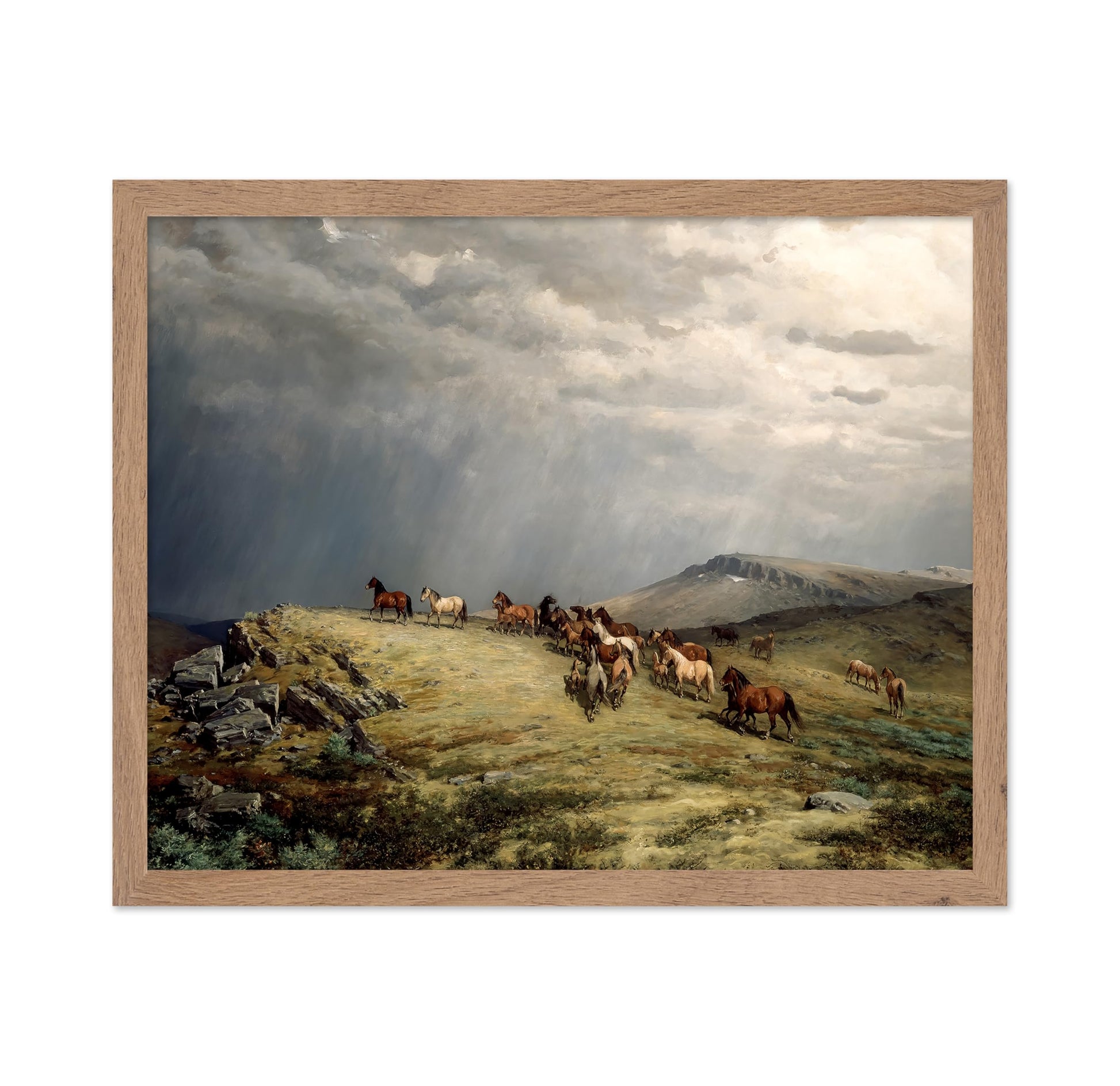 Horses in The Mountains
