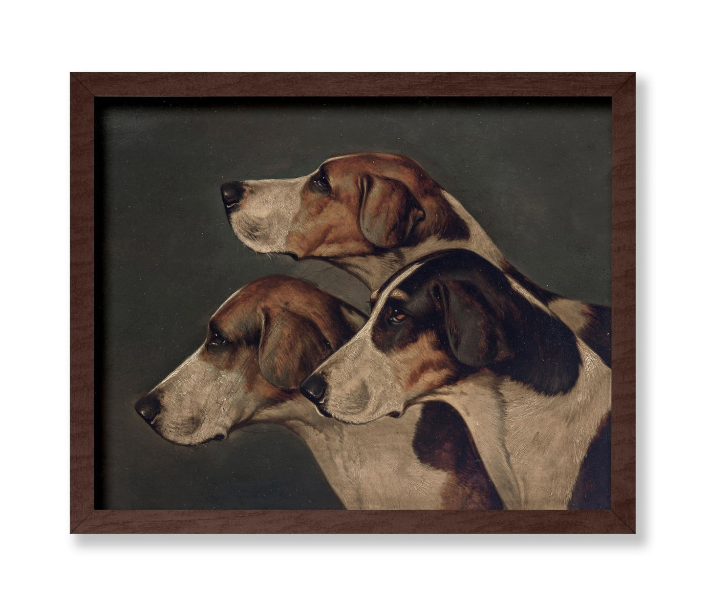 John Arnold Wheeler - Three English Foxhounds