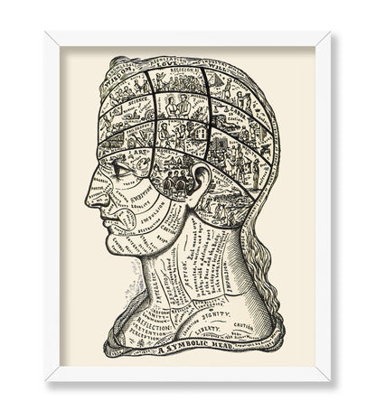 A Symbolic Head, Phrenology Diagram