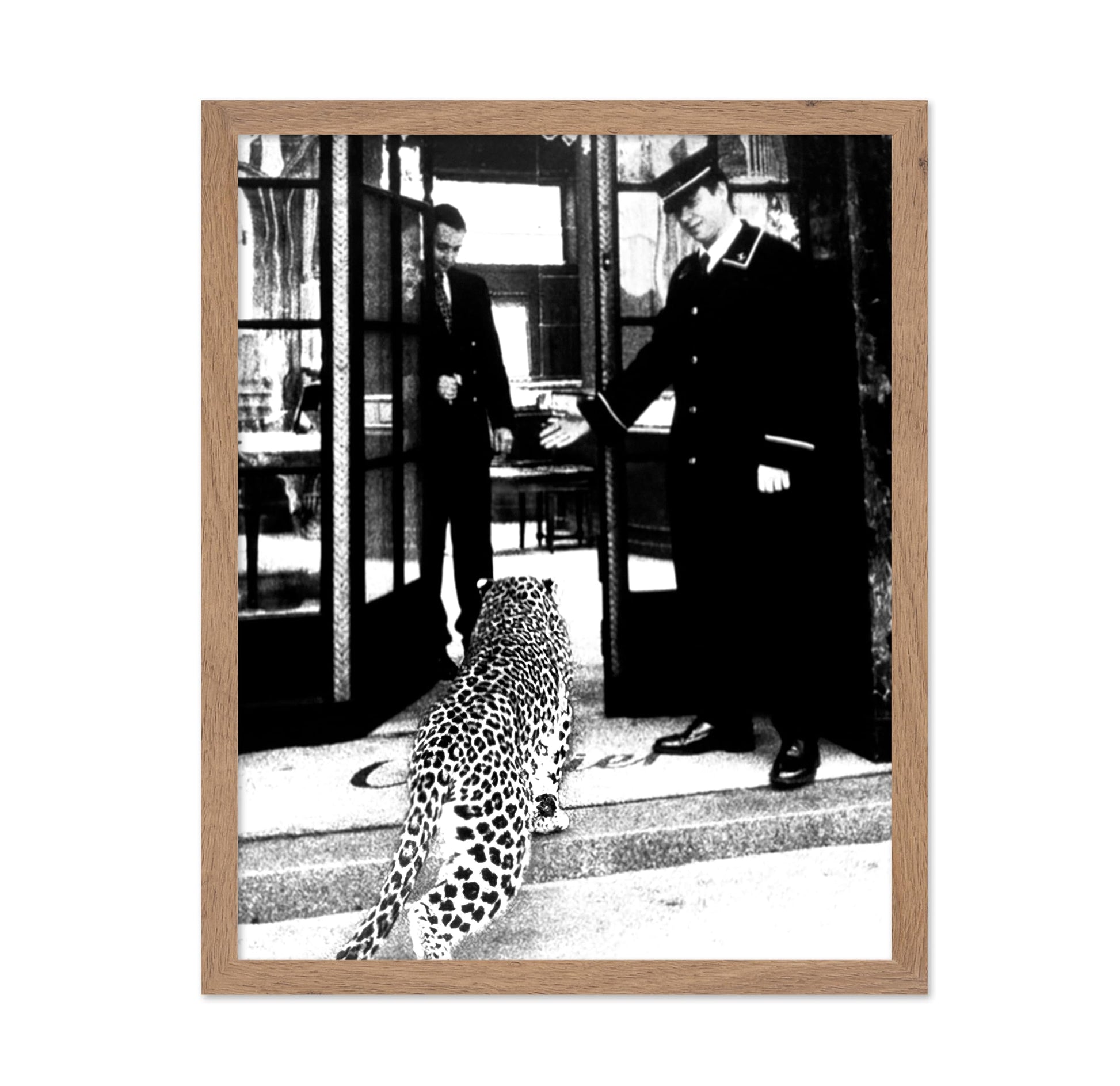 Panther in Fashion Boutique