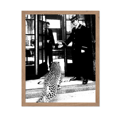 Panther in Fashion Boutique