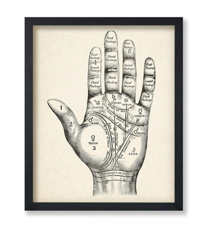 Palmistry